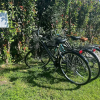 Отель Verderame Rooms & Suite In Lucca, фото 16