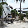 Отель Pelicano Inn Playa del Carmen - Beachfront Hotel в Плайа-дель-Кармене