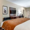 Отель Comfort Suites NW Dallas Near Love Field, фото 26