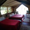 Отель Nyumbu Camp, фото 4