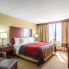 Отель Comfort Inn Downtown, фото 3