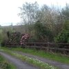 Отель Delightful Bungalow Near Skibbereen & Baltimore, фото 28