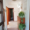 Отель Apartments Josip, фото 3