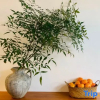 Отель Libai Homestay (Heyuanpi Shijie Branch), фото 3