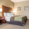 Отель Comfort Inn Edinburg, фото 2