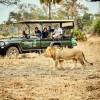 Отель Zambezi Grande Private Game Experience - All Inclusive, фото 37