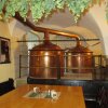 Отель Schlossbrauerei Weinberg - Erste oö. Gasthausbrauerei, фото 7