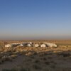 Отель Prince Desert Camp, фото 11