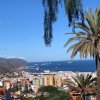 Отель Luxury Apartment & Pool in Vistabella, Tenerife, фото 8