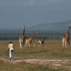 Отель Kicheche Laikipia Camp, фото 12