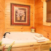 Отель Picture Perfect- Seven Bedroom Cabin, фото 8