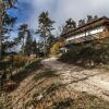 Отель Dolomiti Mountains' View Chalet, фото 8