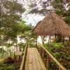 Отель Tambopata River, фото 37