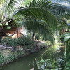 Отель Ben Tre Garden Farmstay, фото 1