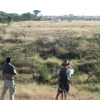Отель Encounter Mara Camp, фото 4