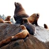 Отель Pier Side Landing, фото 23