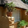 Отель Sterkfontein Heritage Lodge, фото 40