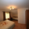Отель Pensiunea Valea Ursului, фото 4