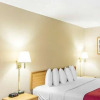 Отель Econo Lodge Blackwell - I-35, фото 6