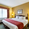 Отель Comfort Suites Bush Intercontinental Airport, фото 7