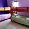Отель Olga Querida Hostal - Hostel, фото 2