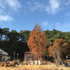 Отель Anmok itneun Choonhyang, фото 4
