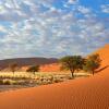 Отель Sossusvlei Lodge, фото 21
