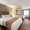 Отель Quality Inn & Suites, фото 21