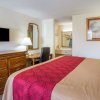 Отель Econo Lodge Inn & Suites Macon, фото 38