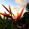 Отель Bounty Lodge, фото 39