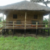 Отель Ikoma Safari Camp, фото 18
