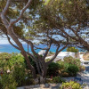 Отель Mykonos Scorpion Beachfront Suites, фото 22