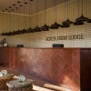 Отель Acacia Farm Lodge, фото 18