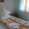 Отель Pensiunea Letitia, фото 3