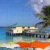 Отель Radisson Aquatica Resort Barbados, фото 18