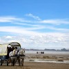 Отель Auberge de la Dune, фото 39