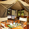 Отель Voyager Ziwani Tented Camp, фото 18