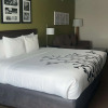 Отель Sleep Inn & Suites Jourdanton - Pleasanton, фото 5