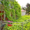 Гостиница Talevito Guest House, фото 6