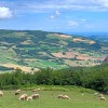 Отель B&B Gli Orti del Trebbia, фото 9