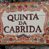 Отель Quinta da Cabrida Douro, фото 2