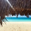 Отель Aruba Stop Vacation Rentals, фото 22