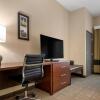 Отель Comfort Inn & Suites, фото 4