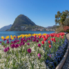 Отель Lugano Terrazzo, фото 19