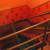 Отель Chandra Niwas Guest House, фото 12