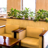 Отель Yatsushiro Grand Hotel, фото 7