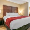 Отель Comfort Inn & Suites Van Buren - Fort Smith, фото 24