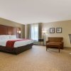 Отель Comfort Inn & Suites Macon West, фото 4