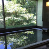 Отель Hakone Gora Onsen Yumenoyu, фото 2