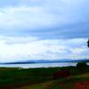 Отель Kabini Lake View Resort, фото 16